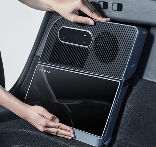 Trunk Refrigerator for Tesla Model Y